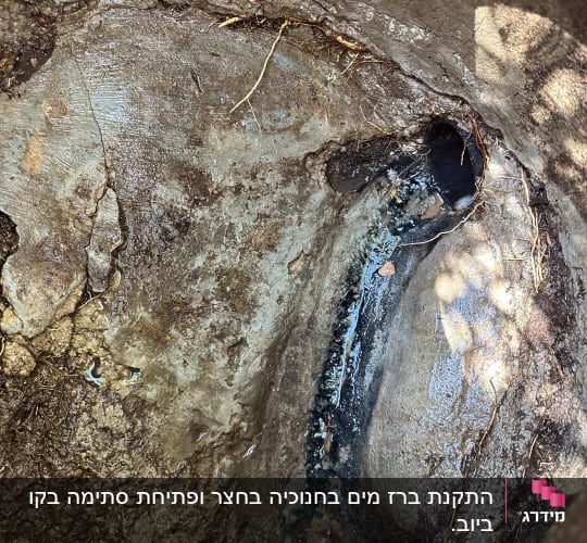 בור עם צינור מים דולף ואדמה רטובה